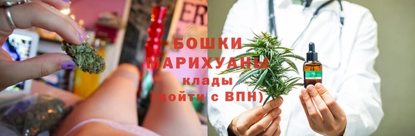гашик Алексеевка