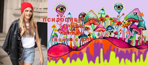 spice Алексин