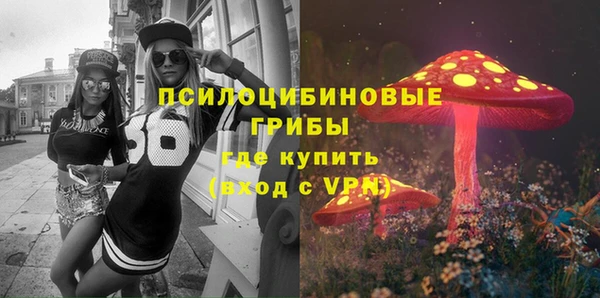 гашик Алексеевка